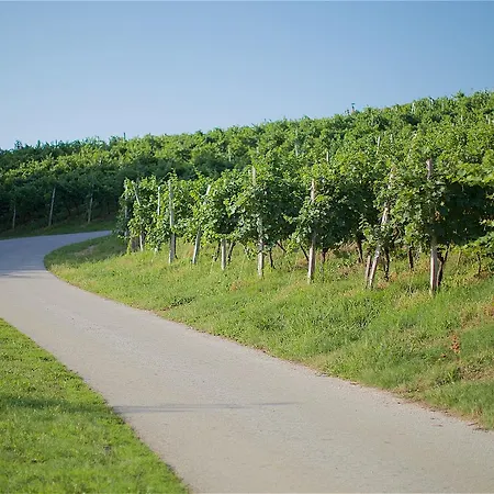 Tourist Farm Lovrec Farm stay *