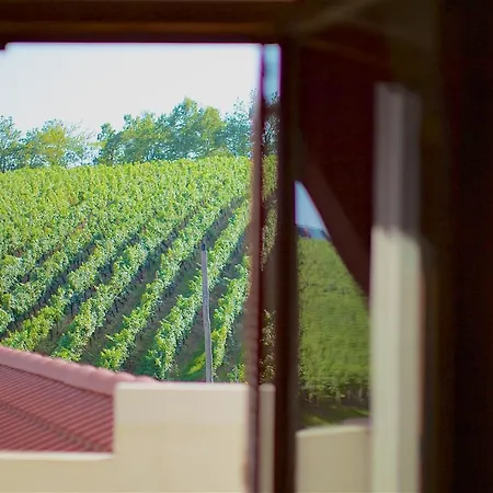 Tourist Farm Lovrec 팜스테이 Jirsovci