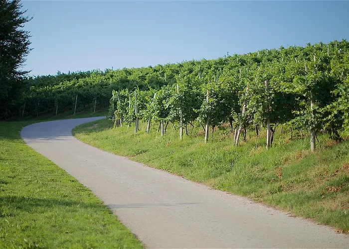 Tourist Farm Lovrec Farm stay *