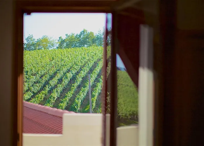 Tourist Farm Lovrec Farm stay Jirsovci